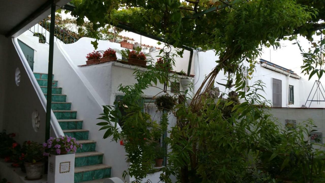 Il Gelso Apartman Anacapri Kültér fotó